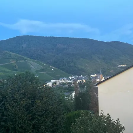 Panoramaapartment Wine & Castle Бернкастель-Кюс