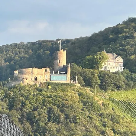 Panoramaapartment Wine & Castle Апартаменты Бернкастель-Кюс