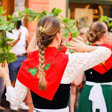 Panoramaapartment Wine & Castle Lejlighed Bernkastel-Kues