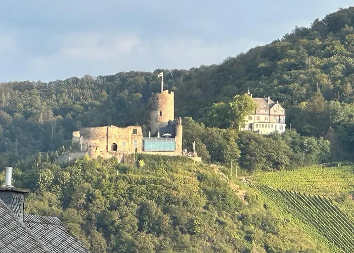 Panoramaapartment Wine & Castle Apartment Bernkastel-Kues