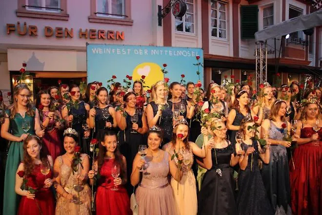 Panoramaapartment Wine & Castle Διαμέρισμα Bernkastel-Kues